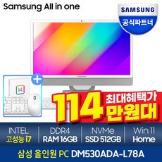 삼성전자 올인원 PC DM530ADA-L78AW (11세대 인텔 i7-1165G7 60.5cm), RAM 8GB + RAM 8GB + SSD 512GB