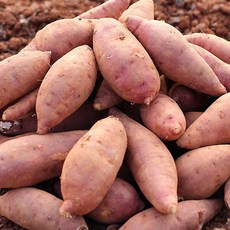 [히동이네] 산지직송 황토밭재배 영암 꿀고구마 중 3kg, 상세 설명 참조