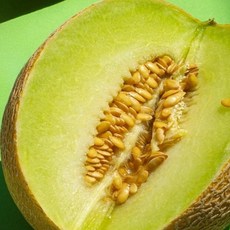 머스크 멜론 8kg, 1개