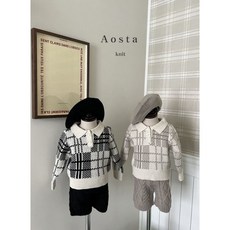 아오스타댄디카라니트