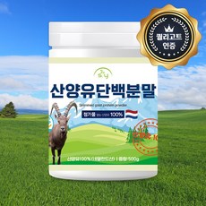 힐링팩토리 네덜란드산 산양유 단백질분말 100%, 2개, 500g