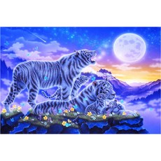 보석십자수백호