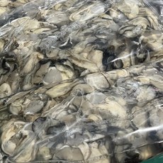 통영생굴 깐굴 500g 1kg 2kg 3kg 횟감 용 굴 생굴 석화 하프셀 삼배체