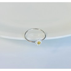 데이지반지