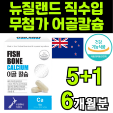 다다랜드플라잉노바