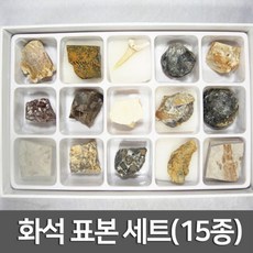 표본세트