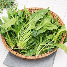 청정365 신안 비금도 섬초 1kg/2kg, 신안 비금도 섬초 1kg
