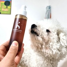 강아지발바닥습진연고