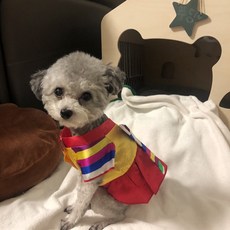 강아지한복만들기