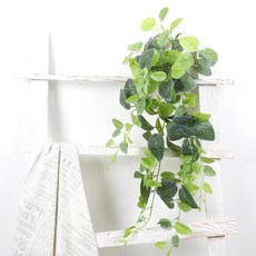 구불구불페이퍼플라워 TOP01