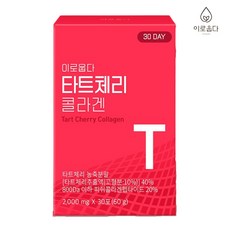 체리수확체험