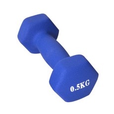 K4스포츠아몸디 K4-60 네오프렌아령 2개1세트 다이어트 미용아령 블루, 0.5kg