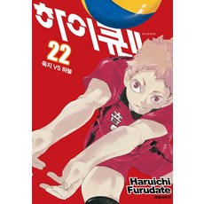 하이큐!!. 22:육지 vs 하늘, 대원씨아이