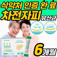 오은영차전자피