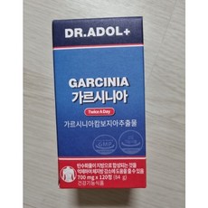 닥터아돌가르시니아