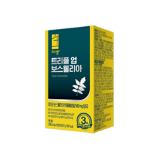 더생 트리플 업 알파 보스웰리아 1박스 3개월분, 1개, 90정
