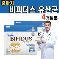 프로파이브에이