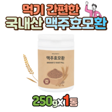 맥주효모환효능