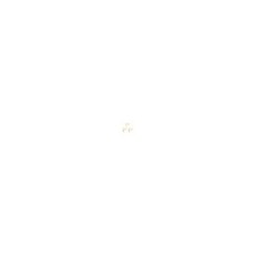 8955df2914f6cff103c919a9081dbba54935f342d35e52df280891da8551.jpg