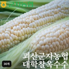 군자농협 괴산대학찰옥수수 30개, 단일옵션