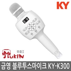 뮤디스300lplus