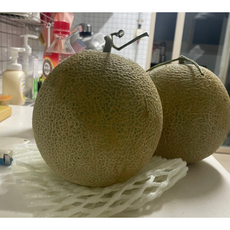 [산지직송] 국내산 머스크 멜론 메론 최상품 대과 4kg(2수) 8kg(4수) 12kg(6수) 국내산머스크메론 머스크메론대과 특품머스크메론대과, 1개, 6kg