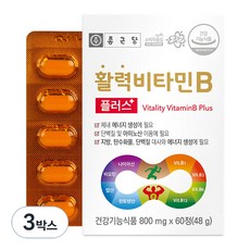 추천1 활성비타민
