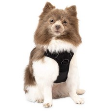 반려동물관리사자격증책