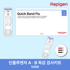 독감검사 인플루엔자 검사 키트 A형 B형 10개, 1개, 10매입