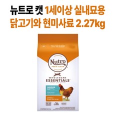 뉴트로초이스캣