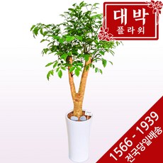 추천2 	전국꽃배달서비스	