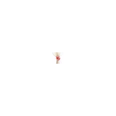 f0fa3768f6198bfd57bda4233b13e95ef95c8b838950d69f71defa92b887.png