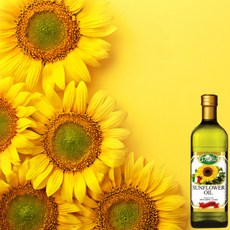 용카프리미엄해바라기씨유500mlx2개입