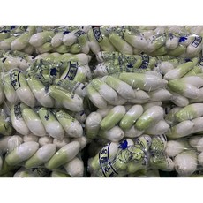 패밀리농산물 제주 월동무 햇무 세척무 김장무우 (10kg 내외) 1Box