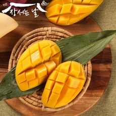 마하차녹망고