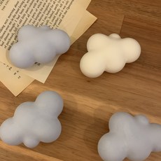 석고방향제자격증