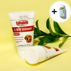 강아지귀염증약