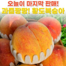 말랑쫀득 천도 백도 황도 복숭아 4kg 1개