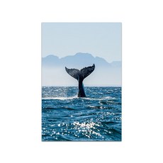 우영우고래일러스트