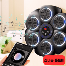 뮤직복싱기계 복싱머신 글러브 포함 가정용 스마트 샌드백 다이어트 홈트, 블랙