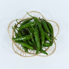 에르메스오이땅스베티베