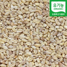 국산유기농통밀가루