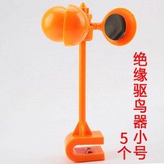 조류폭죽