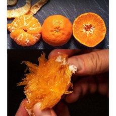 제주천혜향선물세트2호