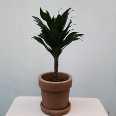 ea74eb74d12e3ed0868a8c667cf027d0a8893e0e7659dd0e50136261fd04.jpg