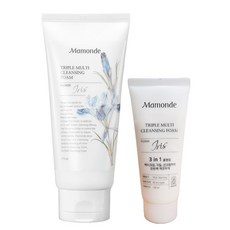 다까라마이크로미스트