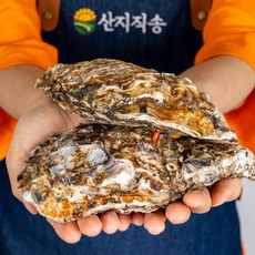 굴회