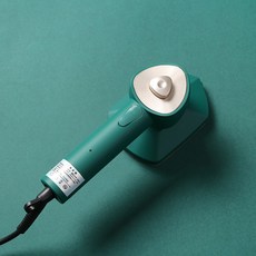 가정용스팀