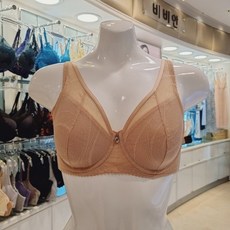 비비안뉴라인핏