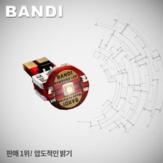 반디 LED 차량용 후진등 T15 싱글소켓 타입 2개 1세트, T15 타입 (2개세트)